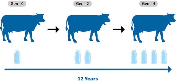 Artificial insemination